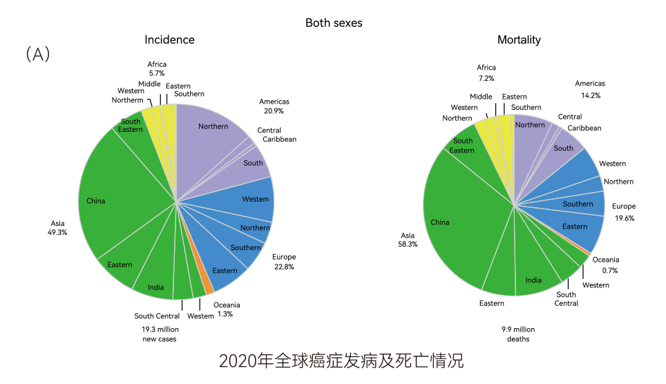 艾消安® | 20ml血一次检测消化五癌